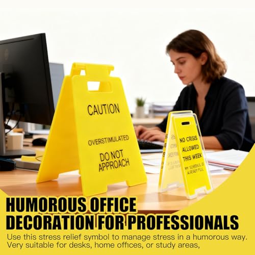 Funny Overstimulated Desk Signs - 2 Pcs Acrylic Office Decor