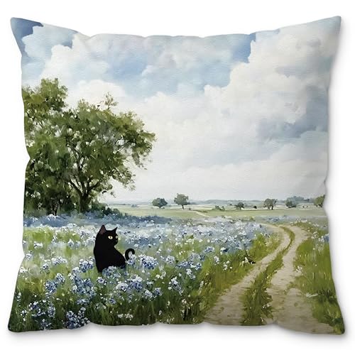 Vintage Country Black Cat Pillow Cover 18x18 - Style 4