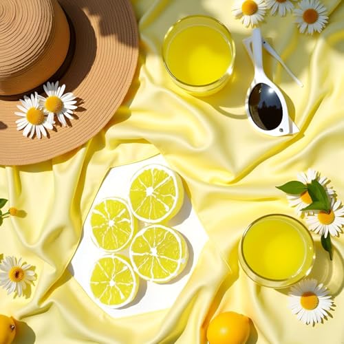 Calsgkspray 4Pcs Double Lemon Slice Hair Clips Yellow Fruit Barrettes