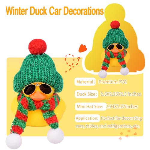 Cute Winter Duck Dashboard Ornament with Hat & Sunglasses