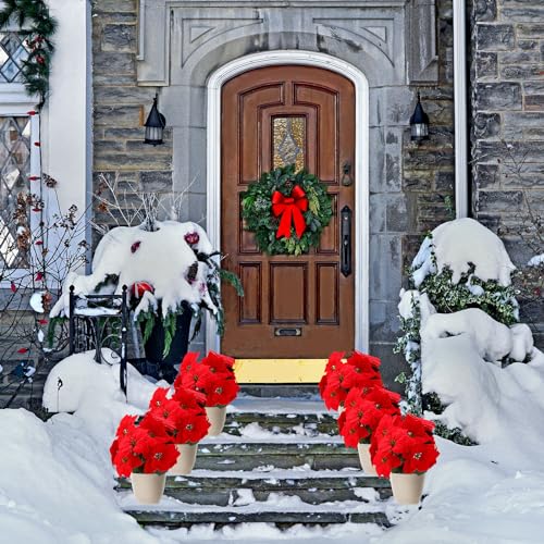 Artificial Christmas Poinsettia Bundle 18 Inch 5 Heads - Red Holiday Decor - Variation of 18