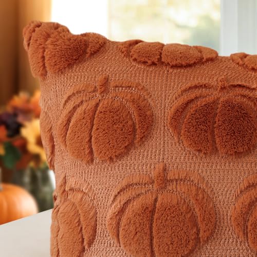 OTOSTAR Pumpkin Fall Pillow Cover 20x20 Inch Rust Plush Faux Fur