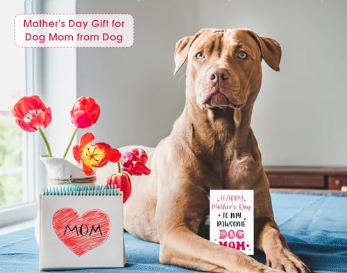 Funny Mother's Day Card for Dog Mom with Red Envelope 4x6
