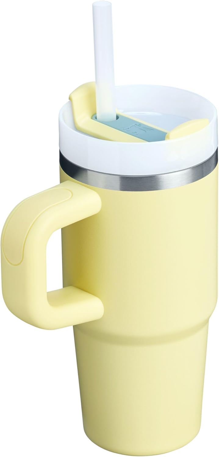 STANLEY Quencher H2.0 Tumbler - 14 oz Insulated Stainless Steel Cup with Handle & Straw | BPA-Free Pomelo Color