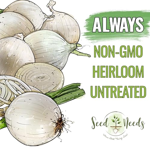 White Sweet Spanish Onion Seeds - Heirloom, 1 Pack for Planting