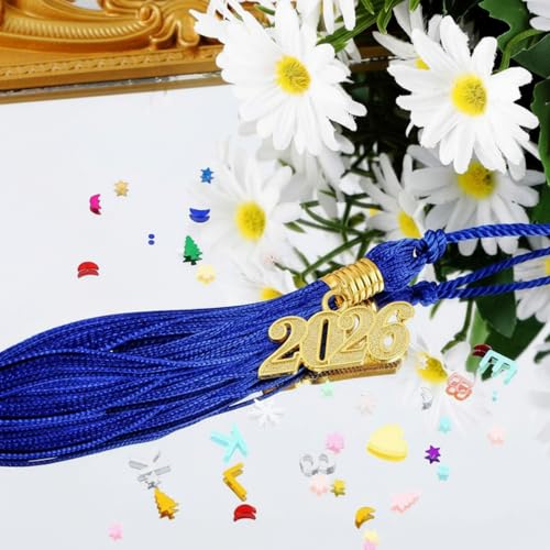 Dingion 2 Pcs Royal Blue Graduation Tassel Class of 2026 Cap Decoration