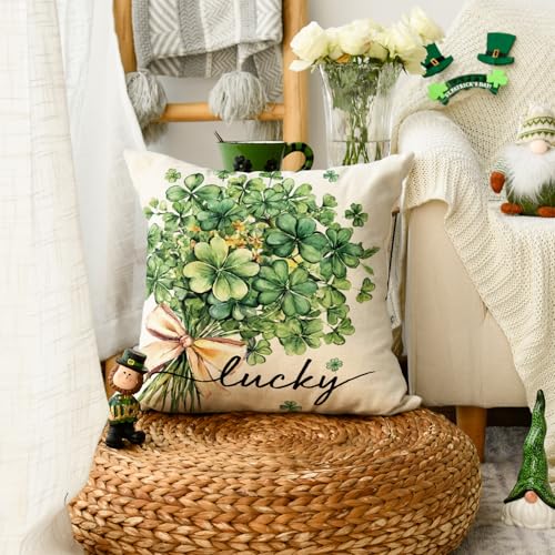 AVOIN colorlife St Patrick's Day Lucky Clovers Throw Pillow Cover 18x18 Inch Shamrock Cushion Case for Sofa Couch - Variation 1
