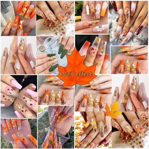 6 Grids Snowflake Nail Glitter Sequins and Powder Set