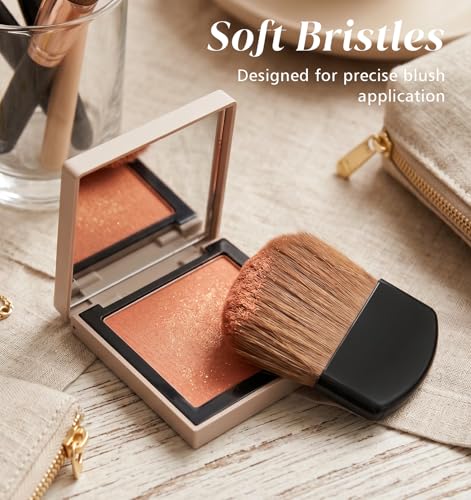 FRCTLNKG 10 Pcs Small Blush Brush Set - Soft Travel Makeup Brushes