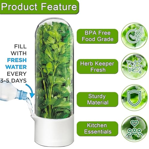 Herb Saver for Refrigerator - Fresh Herb Keeper Container for Cilantro, Parsley, Mint, Asparagus