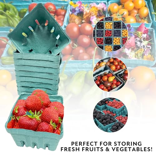 Green Berry Basket - 15 Pack Vented Produce Containers for Fruits & Vegetables