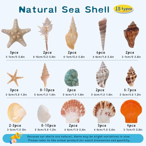Natural Seashells and Starfish Set for Crafts - 60 Assorted Pieces