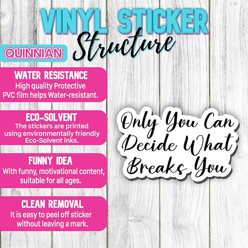 QUINNIAN 3-Pack Waterproof Vinyl Stickers - ACOTAR Inspired