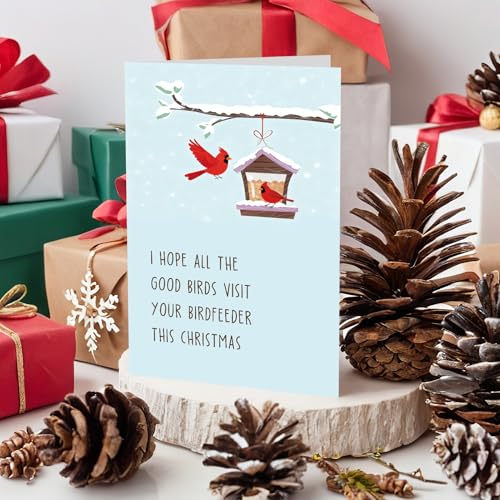 Funny Bird Feeder Christmas Card for Bird Lovers with Envelope