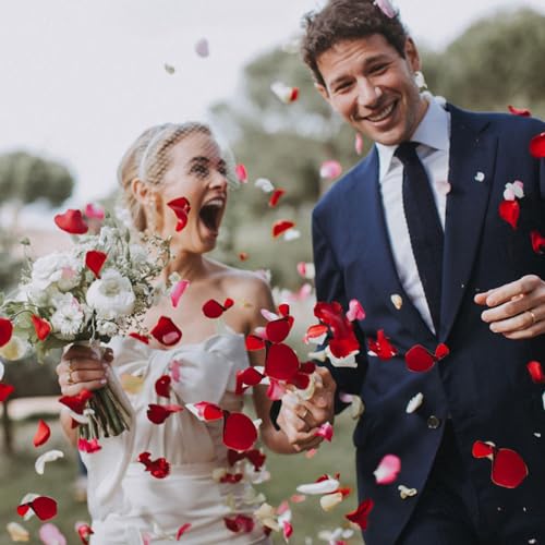 500 PCS Artificial Red Rose Petals for Romantic Wedding and Proposal Decor