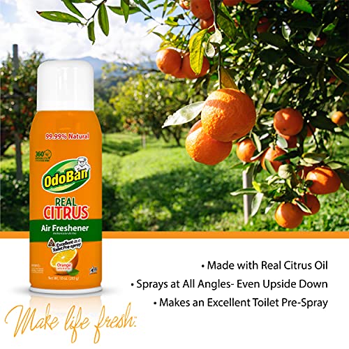 OdoBan Citrus Air Freshener Spray, 10 Oz (Pack of 2) - Orange Scent