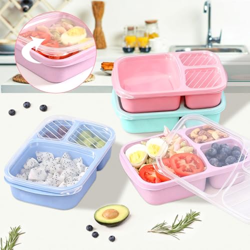 4 Pack Reusable 3-Compartment Lunch Box Set - Light Color