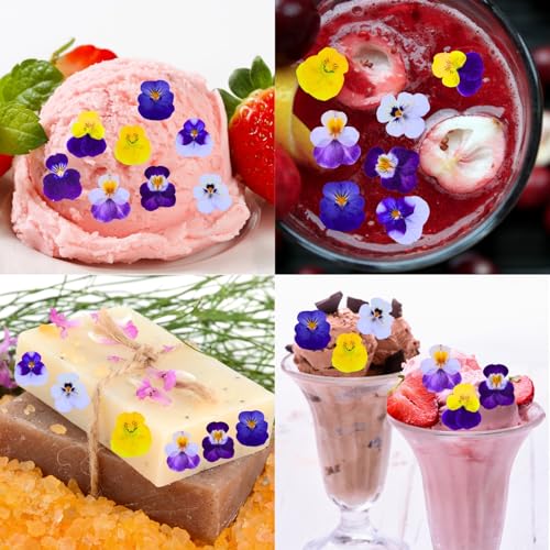 60 Pcs Dried Pressed Edible Viola Flowers Set for DIY Crafts