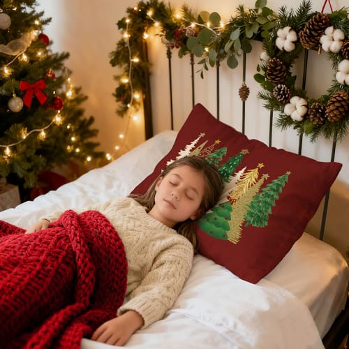 Christmas Decorative Pillow Covers Set of 2 - 20x26 Lumbar Shams