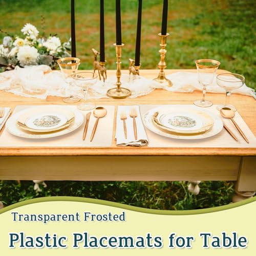Clear Plastic Placemats - 10 Pack, 17x11 Inch Wipeable Table Mats