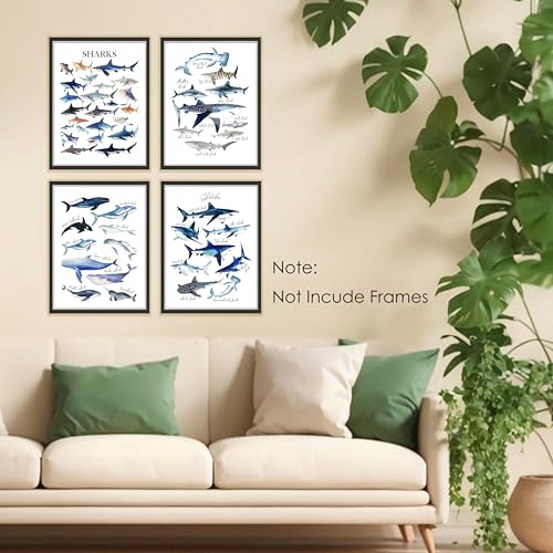 Shark and Whale Ocean Wall Art Prints Set of 4 - 12x16 Unframed