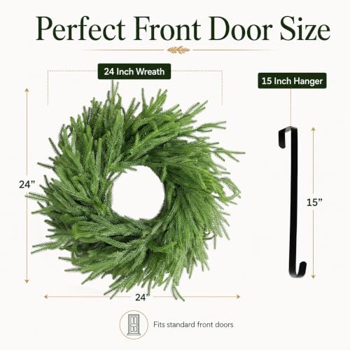 24 Inch Real Touch Norfolk Pine Wreath with Grape Vine Base and Hanger