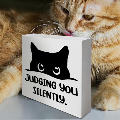 Funny Black Cat Decor Sign - Judging You Silently (E) | Cat Lover Gift