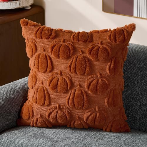 DFXSZ Rust Fall Throw Pillow Covers 18x18, Soft Plush Set of 2