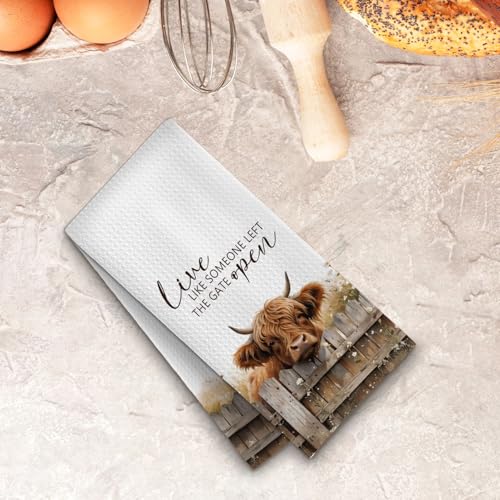 Farmhouse Highland Cow Kitchen Towels - 16x24 Decorative Hand Towels