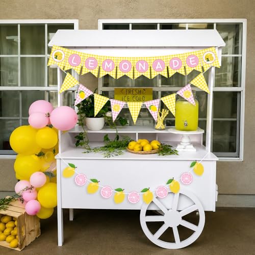 3PCS Pink Lemonade Banner Set – Summer Party Decorations