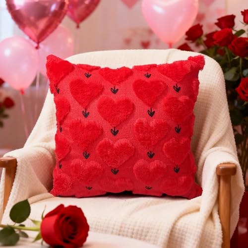 Valentine's Day Pillow Covers Set of 2, 18x18 Inch Red Heart Plush