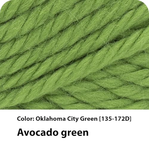 Lion Brand Hometown Super Bulky Yarn - Oklahoma City Green, 5 oz