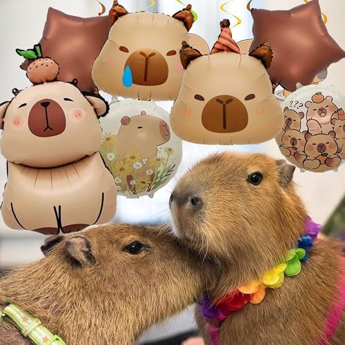 7PCS 24-Inch Capybara Foil Balloon Set for Birthday Party Decorations