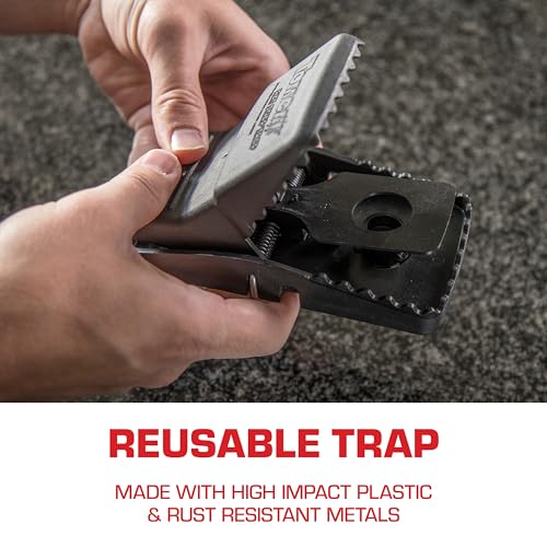 Tomcat Rat Snap Traps - 4 Reusable Traps for Home & Farm Use
