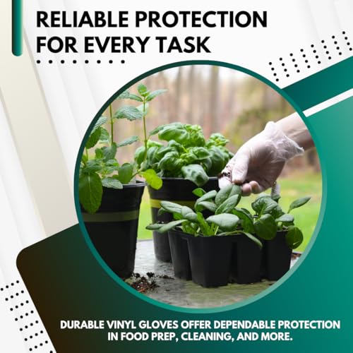Small Clear Vinyl Gloves - Disposable, Powder-Free, Latex-Free, 100 Pack