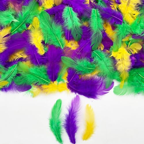 500PCS Assorted Craft Feathers - 3-5 Inch Rooster Feathers for DIY