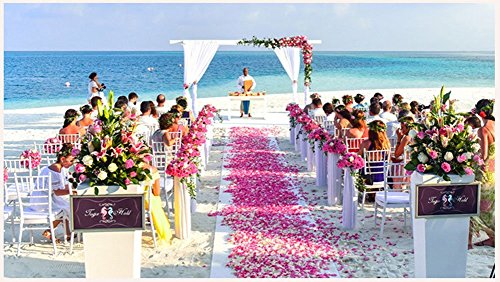 1000pcs Artificial Silk Rose Petals for Weddings & Events