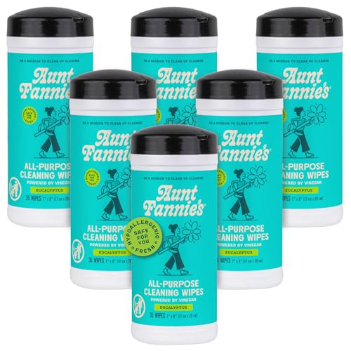 Aunt Fannie's Eucalyptus Cleaning Vinegar Wipes - 35 Count