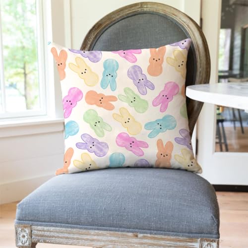 PANDICORN Easter Pillow Covers Set of 2, 18x18 Inch Pastel Peeps