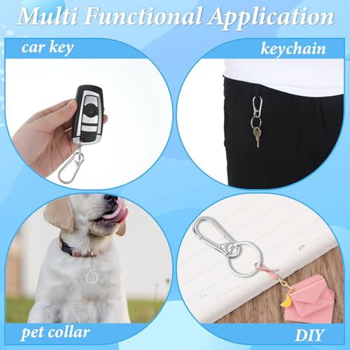 10 Packs Metal Keychain Carabiner Clip, Stainless Steel Heavy Duty Key Chain, Keyring Key Ring Chain Clips Hook Holder Key Organizer for Men Women,Silver