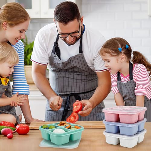 Caperci Bento Snack Boxes with Clear Lids - 4 Pack Eco-Friendly Containers