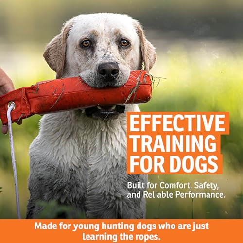SportDOG Puppy Canvas Dummy, Orange, 2.25" x 8.5" - Durable Fetch Tool