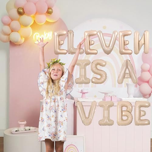 Groovy 11th Birthday Balloon Banner - Retro Daisy Decor