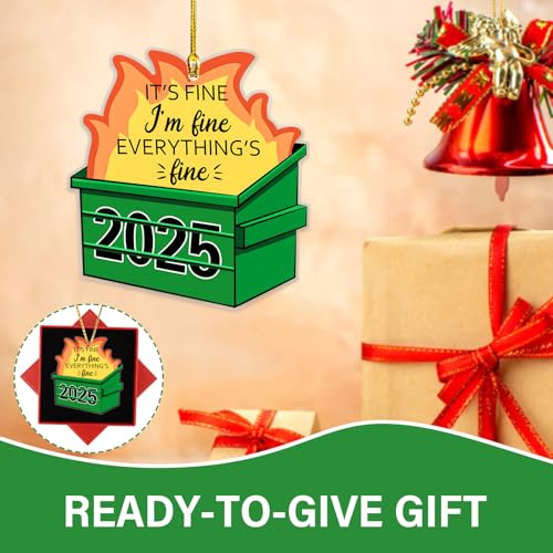 Funny 2025 Dumpster Fire Christmas Ornament - Everything's Fine