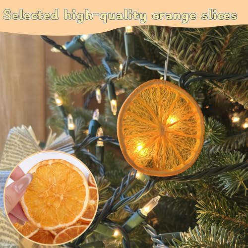 Dried Orange Slices for Crafts - 50 Natural Citrus Decor Pieces