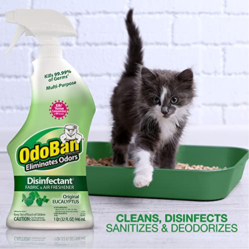 OdoBan Eucalyptus Disinfectant Spray Set - 32 Oz, Pack of 3