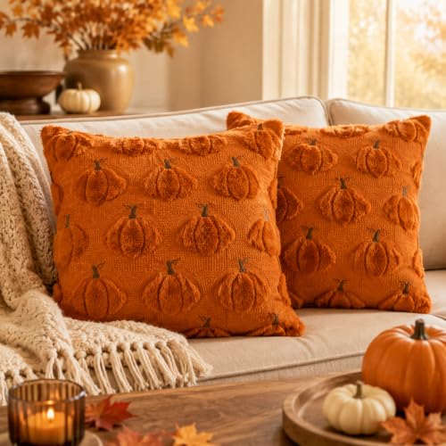 HOSHEN HOME Orange 3D Pumpkin Fall Pillow Covers - 18x18 Set of 2