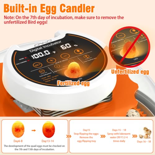 ONKO Automatic Quail Egg Incubator with Humidity & Egg Turning