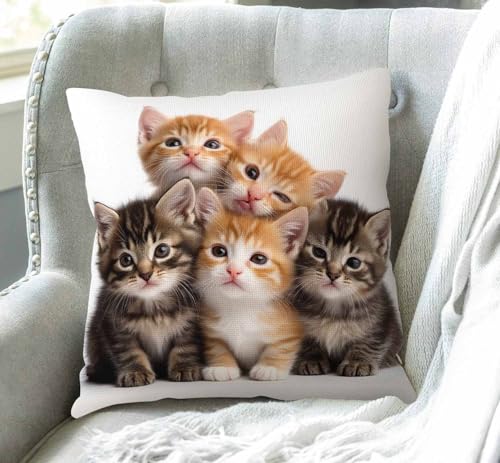 Swono Kittens Family Cats Throw Pillow Cover Sw-014, 18x18 Inch