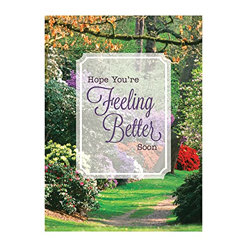 Get Well Soon Card Set - 12 Floral & Landscape Greeting Cards
